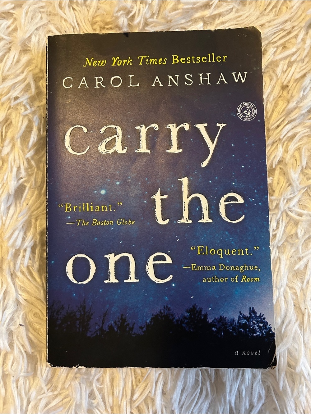 Carry the One by Carol Anshaw - Blue Paperback Novel, bestseller, NY times